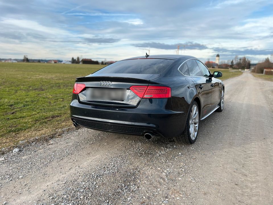 Audi A5 3.0TDI Quattro in Mindelheim