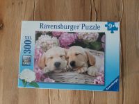 Puzzle Ravensburger Hunde eingeschweißt 9+ 300 Teile neu Baden-Württemberg - Gemmingen Vorschau
