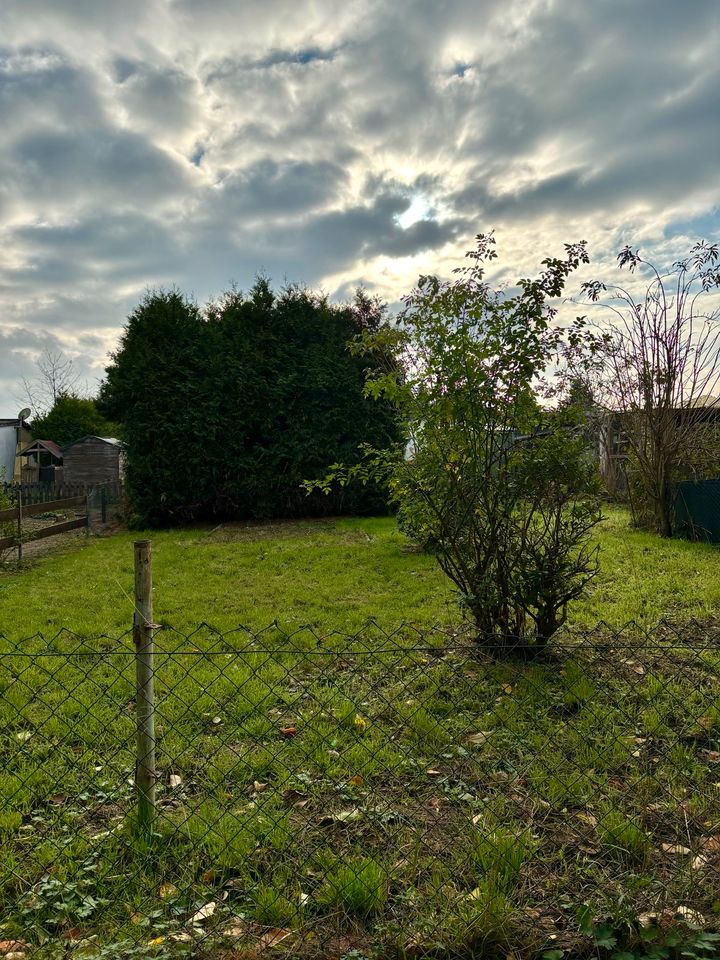 Gartengrundstück zu kaufen - Großraum Leipzig / Zedtlitz in Borna