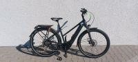 E-Bike Hercules Futura Sport I-8 8-Gang FL 28" 45cm Rh. Nordrhein-Westfalen - Beckum Vorschau