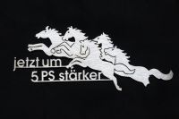 Emblem „jetzt um 5 PS stärker“ VW Käfer Ovali Nordrhein-Westfalen - Marienheide Vorschau