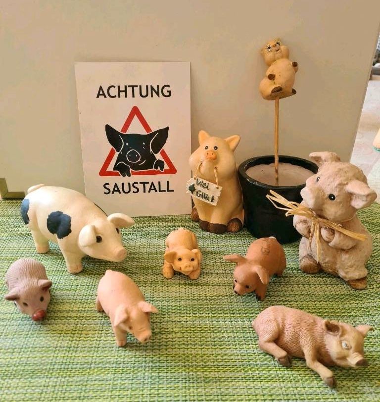 35 kleine Schweine in Leck