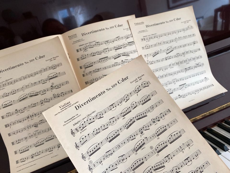 Haydn Streicher Trio Noten in Oberstdorf