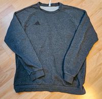 Sweatshirt Adidas grau Gr. L Berlin - Pankow Vorschau