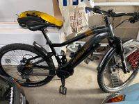 MTB E HAIBIKE 6.0 in top Zustand Nordrhein-Westfalen - Herzogenrath Vorschau