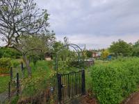 Kleingarten in Halle kleinanzeigen.de