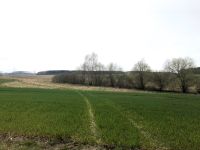 Landkreis Rostock: ca. 16,6 ha arrondierte  land- und forstwirtschaftliche Nutzfläche zu verkaufen Güstrow - Landkreis - Krakow am See Vorschau