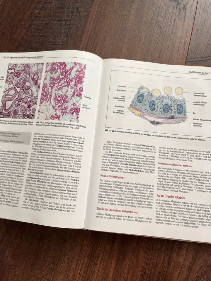 Liebich - Funktionelle Histologie der Hsgt. (4. Auflage) in Hannover