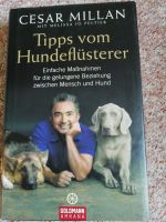 Cesar Millan - Tipps vom Hundeflüsterer Sachsen-Anhalt - Wolmirsleben Vorschau