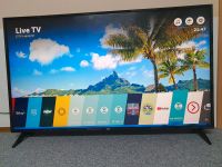 Fernsehe  Von LG  65Zoll 165cm  Smart TV  WLAN  4K Ultra HD Osternienburger Land - Wulfen Vorschau
