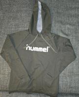 Hoddi von Hummel Brandenburg - Guben Vorschau