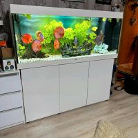 Aquarium Juwel 450L Set Bayern - Wirsberg Vorschau