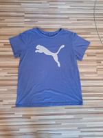 Puma Funktionsshirt T-Shirt Sport Gr. S 38 lila Nordrhein-Westfalen - Datteln Vorschau