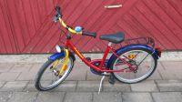 Kinderfahrrad 20 Zoll Baden-Württemberg - Hochdorf (Riß) Vorschau