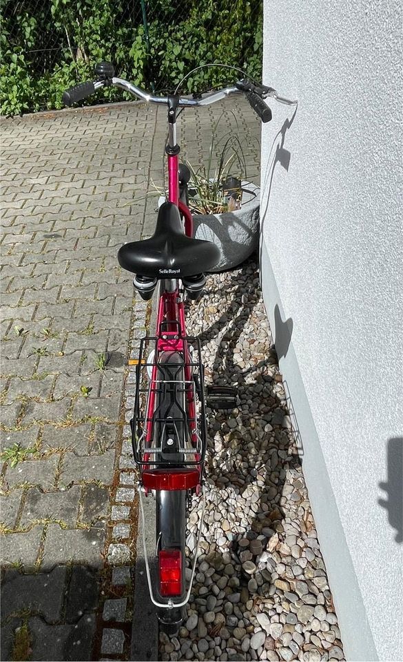 Montana Camporello Fahrrad Damen Kinder Rad in Germering