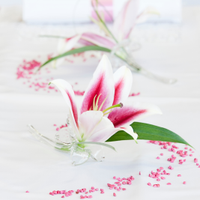 Vasen Glas Blume Glasblume 7x13cm Tischdeko Hochzeit Deko Hessen - Alsbach-Hähnlein Vorschau
