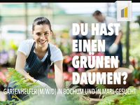 Gartenhelfer (m/w/d) Nordrhein-Westfalen - Recklinghausen Vorschau