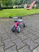 Puky Lino pink Nordrhein-Westfalen - Bad Driburg Vorschau