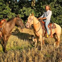 Ausreiten, geführter Ausritt, Reiten Sachsen - Liebstadt Vorschau