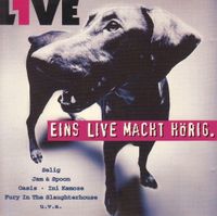 SAMPLER - EINS LIVE MACHT HÖRIG - SELIG, OASIS, FURY, JAM & SPOON Aachen - Aachen-Richterich Vorschau