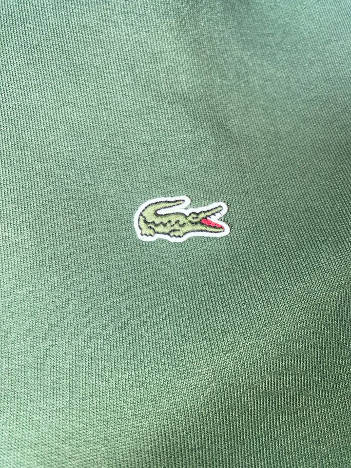 Lacoste Pullover in Pinneberg