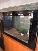 Aquarium mit Steine zu verkaufen Nürnberg (Mittelfr) - Mitte Vorschau