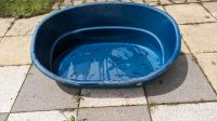 Hunde Körbchen blau Baden-Württemberg - Filderstadt Vorschau