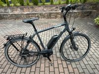 Raleigh Stoker B9 Performance Line 500Wh Rheinland-Pfalz - Waldmohr Vorschau