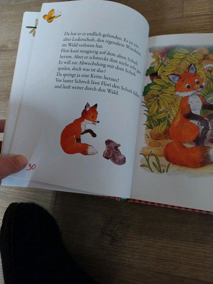 Bücher für die "Kleinen"*Tierkindergeschichten*Grünasenhasen*Nixe in Altbach