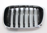 BMW X3 G01 X4 G02 Ziergitter Front links Luxury Line TN 7464920 München - Trudering-Riem Vorschau