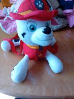 Marshall paw patrol rucksack Plüsch Nordrhein-Westfalen - Recke Vorschau