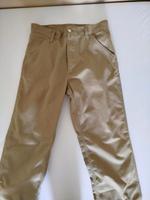 Carhartt simple pant  28×32 Thüringen - Bad Blankenburg Vorschau