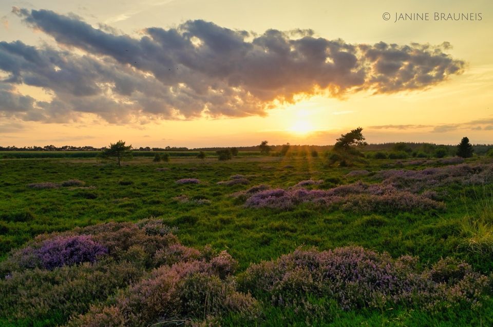 Fotokurse in Cuxhaven und Fotoworkshops auf Helgoland in Cuxhaven