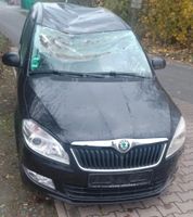 LF9R CAYB KFK Skoda Roomster VW Seat Audi Front Tür Kotflügel Niedersachsen - Vechta Vorschau