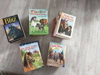23 Bücher Pferdegeschichten Bayern - Burgau Vorschau