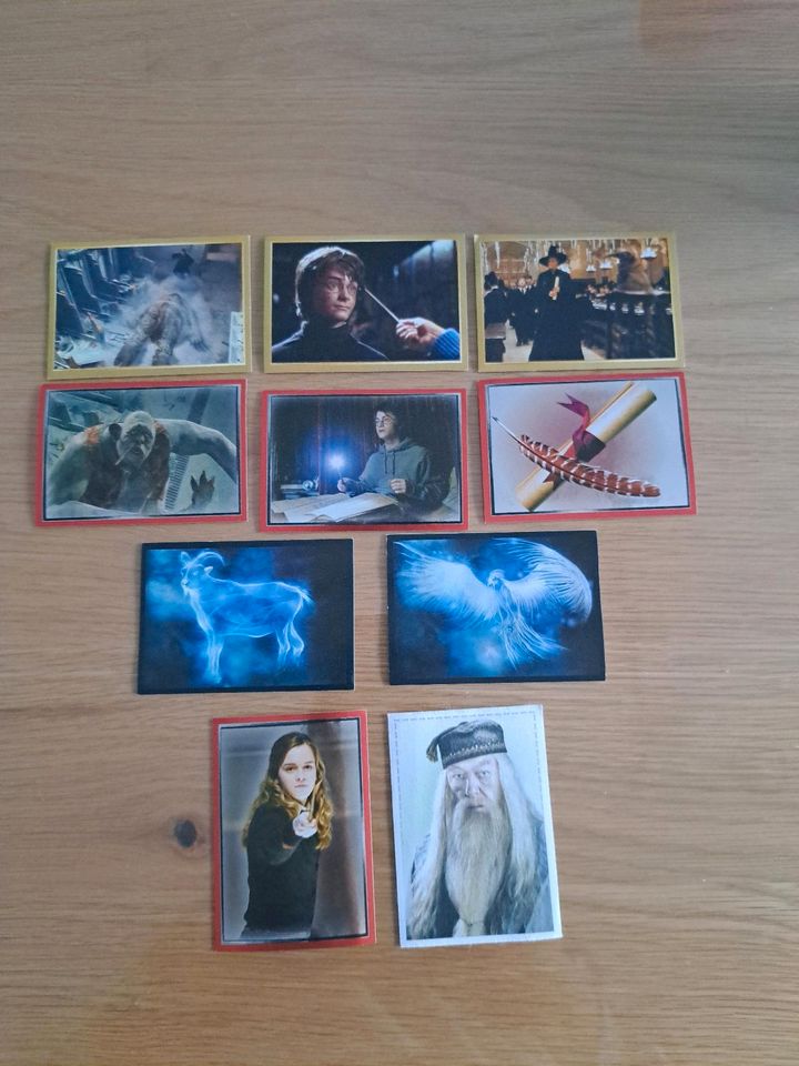 Panini Wizarding World Harry Potter Sammelkarten in Breitenbrunn i.d. Oberpfalz