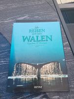 Reisen mit den Walen Vincent,Buch Kiel - Russee-Hammer Vorschau