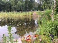 Gärtner Privat, Dienstleistungen für Haus & Garten kleinanzeigen.de