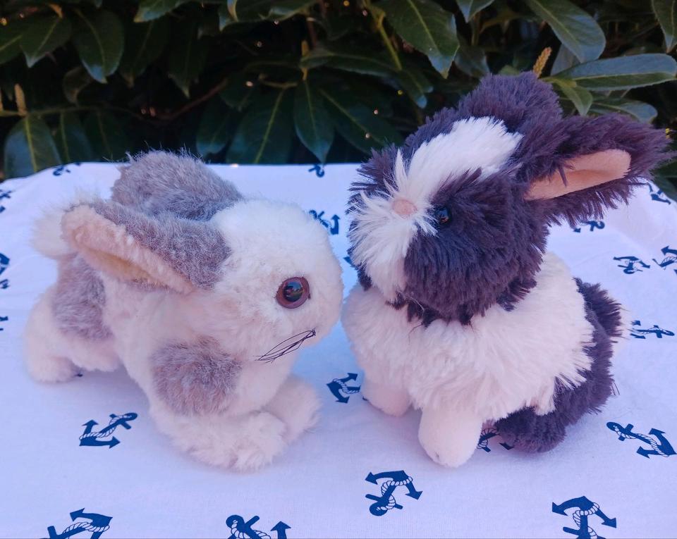 Hase Kaninchen Steiff mit Knopf Fahne Nici Stofftier in Flensburg