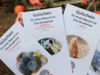 Suche Zoo Osnabrück Eintrittskarten Niedersachsen - Neuenkirchen-Vörden Vorschau