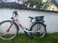 Mädchen Fahrrad 24 Zoll Bayern - Karlshuld Vorschau
