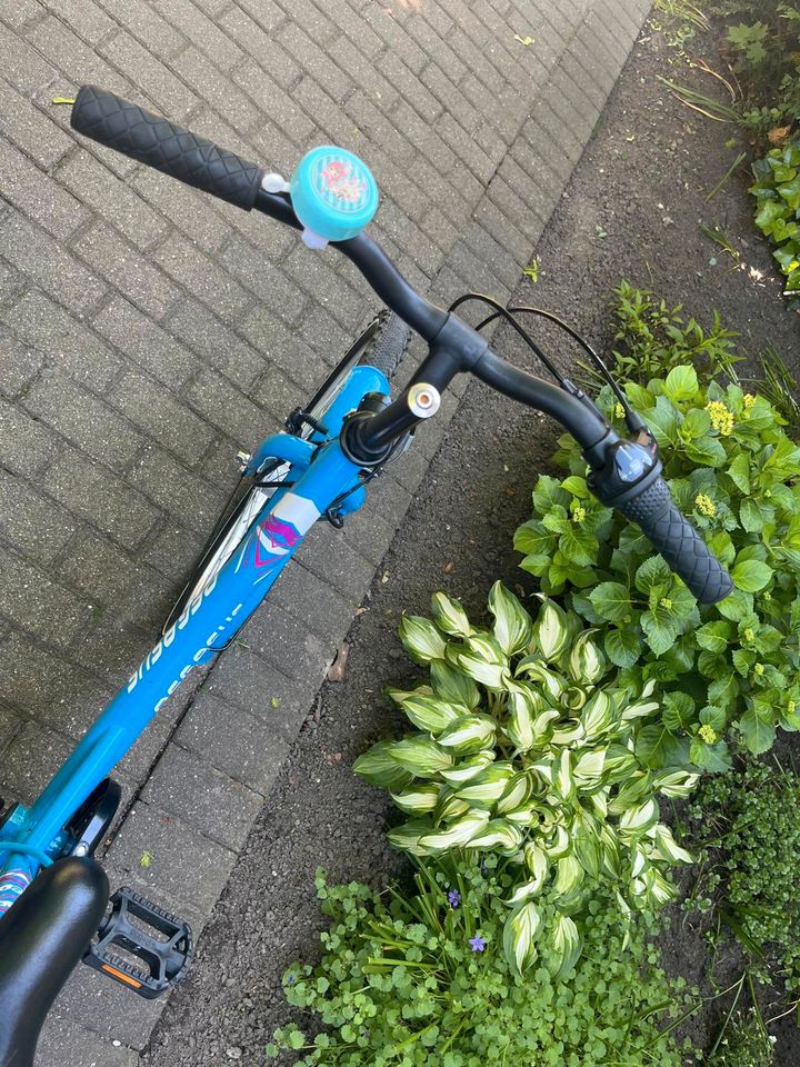 24er Mädchenfahrrad von Pegasus in Ahlen