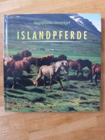 Islandpferde Leipzig - Knautkleeberg-Knauthain Vorschau