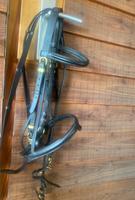 ,,Harry Horses‘‘ Trense, schwarz/gold, inkl. passenden Zügel Schleswig-Holstein - Brokstedt Vorschau