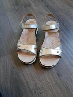 Sandalen von Panama Jack , Gr.37 Baden-Württemberg - Achern Vorschau