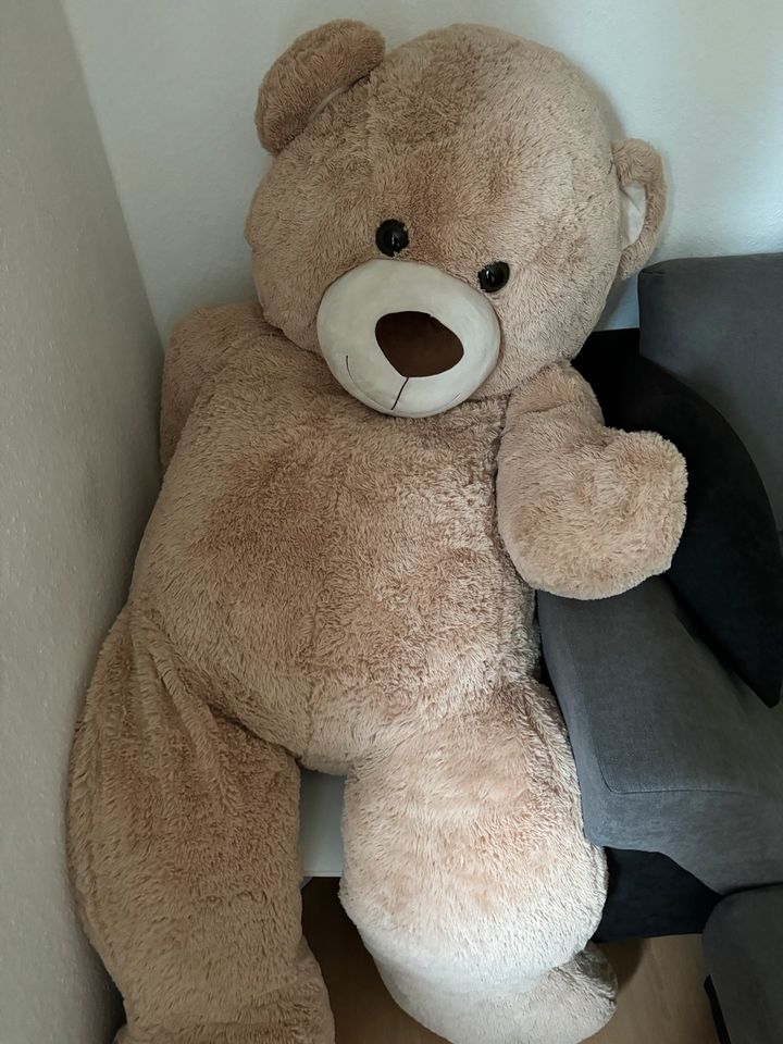 2m Teddybär in Varel