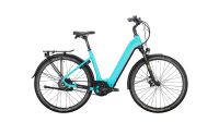 E-Manufaktur 11.9 Victoria E Bike Bosch CX 625Wh Niedersachsen - Braunschweig Vorschau