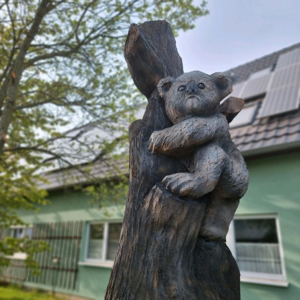 Kettensägenkunst/ Skulpturen/ Baumstumpfgestaltung/ Schnitzereien in Sohland