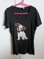 T-Shirt Tom Tailor Größe 170 braun grau Hund Nürnberg (Mittelfr) - Nordstadt Vorschau