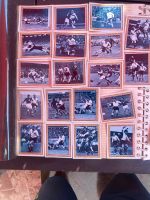 Panini Sammelbilder Bundesliga Fußball 82 s/w Essen - Bredeney Vorschau